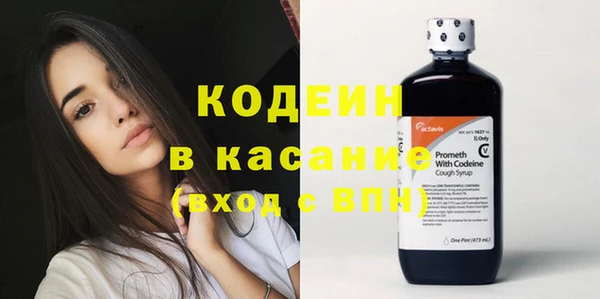 молекула духа Ладушкин