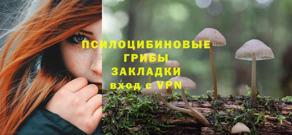 ECSTASY Остров