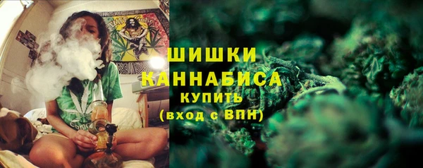 молекула духа Ладушкин