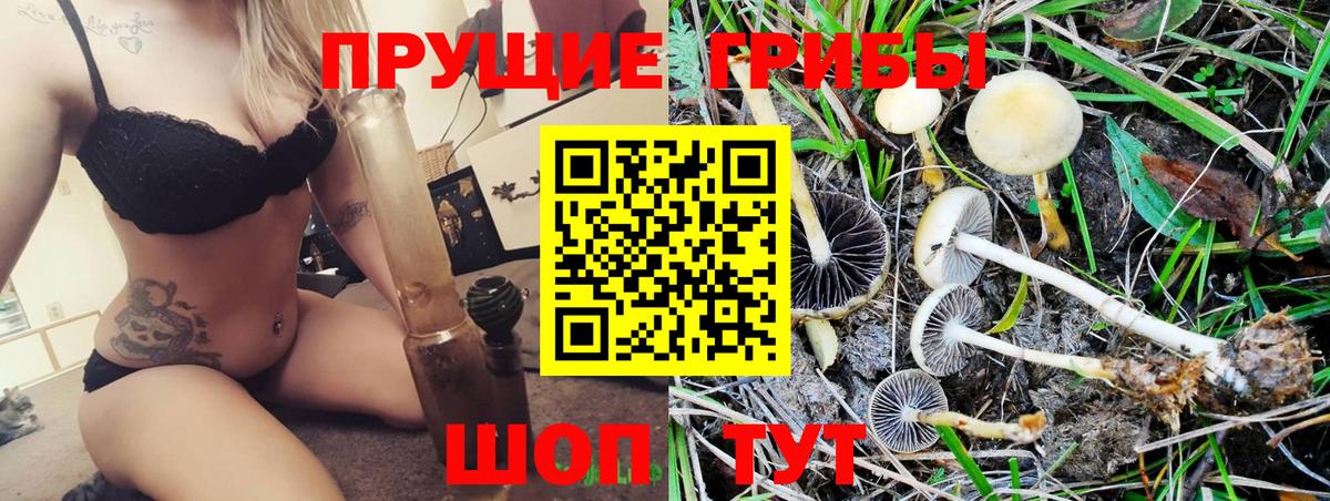 Лобня  Псилоцибиновые грибы Cubensis  Вход с VPN 