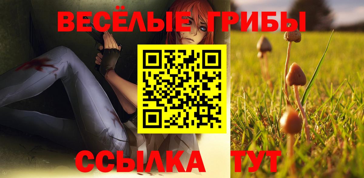 Галлюциногенные грибы Magic Shrooms Лобня