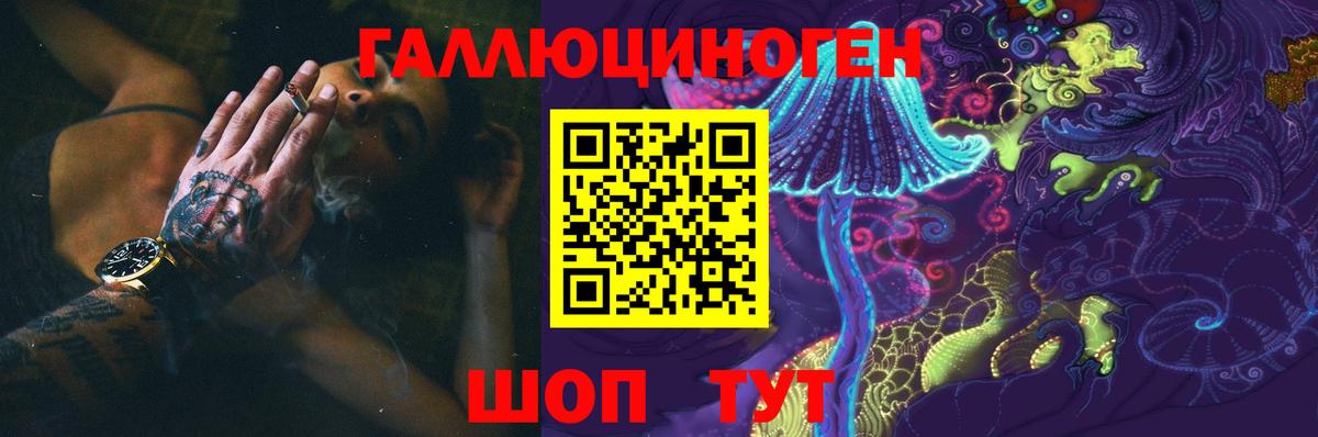 Галлюциногенные грибы Cubensis Лобня